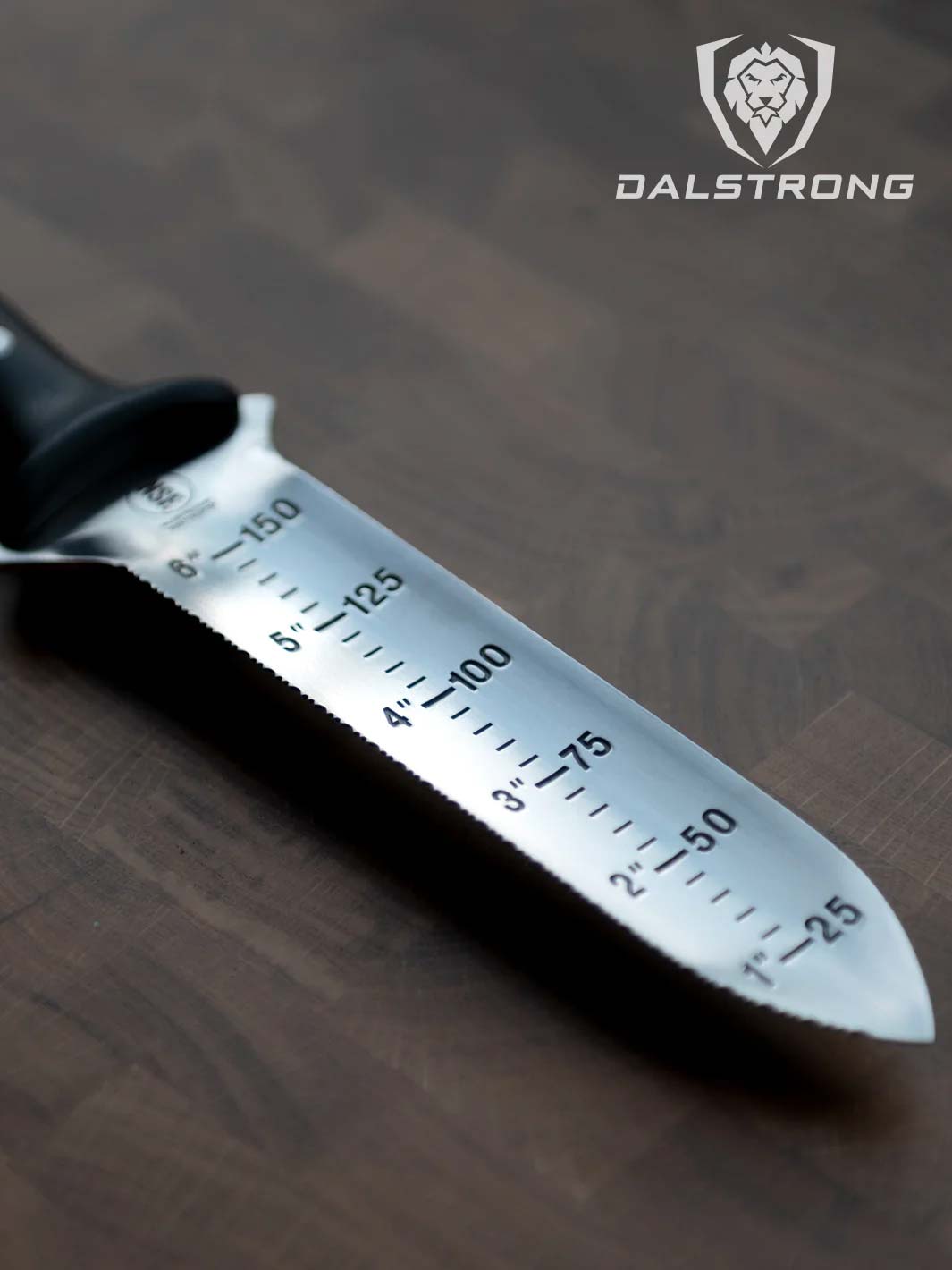 Dalstrong gladiator series 6.5 inch hori hori knife with black handle showcasing it's measurements along the blade.