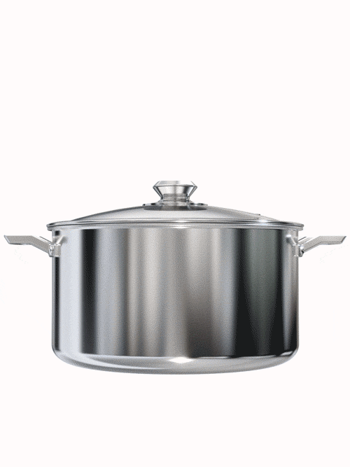 Dalstrong oberon series 12 quart stock pot silver in all angles.