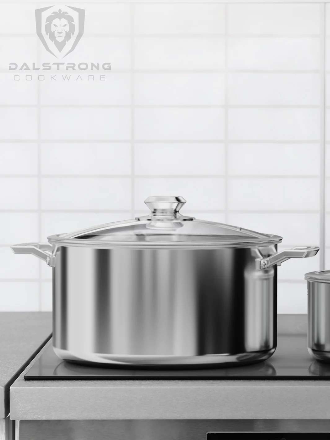 Dalstrong oberon series 12 quart stock pot silver on a kitchen table.