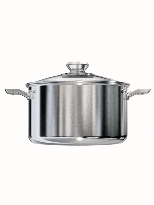 Dalstrong oberon series 5 quart sauce pot silver in all angles.