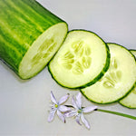 How To Store Cut Cucumbers So They Stay Crisp As Long As Possible