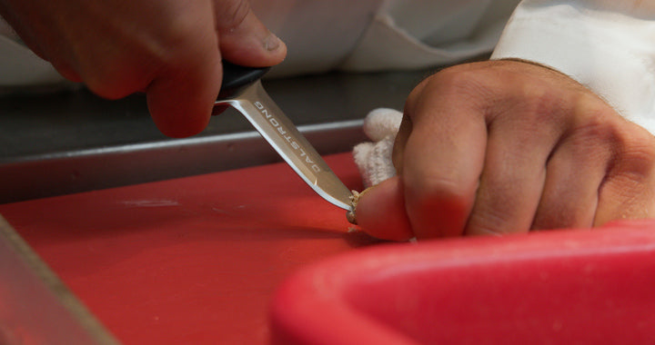 Love Shellfish? You Need an Oyster Shucking Knife