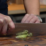 Best Nakiri Knife: Top Picks for Precision Vegetable Cutting