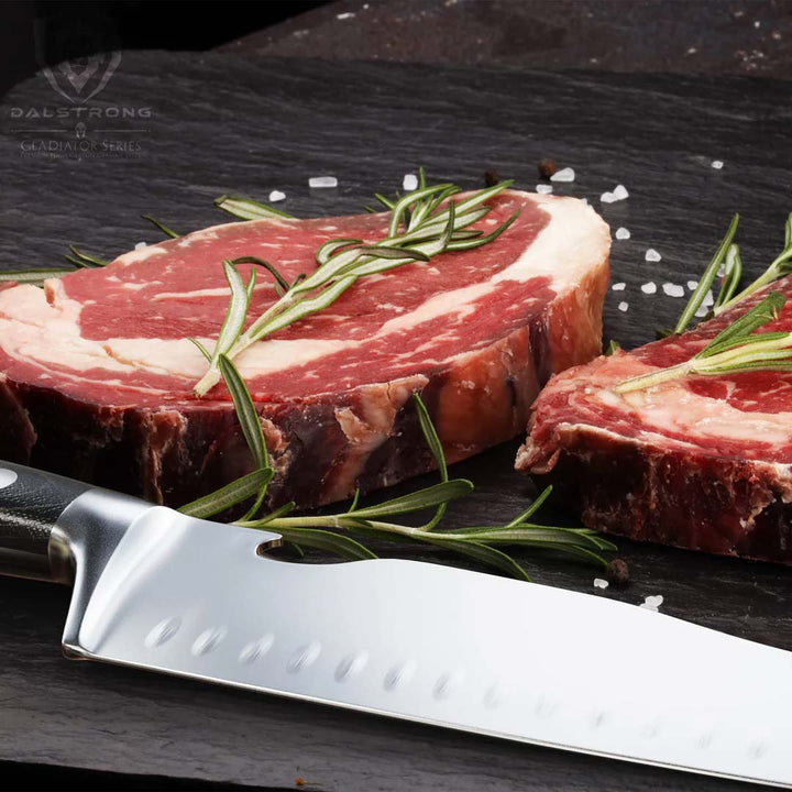 BBQ & Pitmaster Meat Knife 8" with Forked Tip & Bottle Opener | Gladiator Series | NSF Certified | Dalstrong © 10