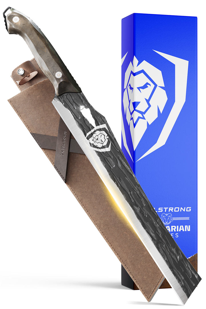Dalstrong barbarian series 12 inch carving knife in front of it's premium packaging.