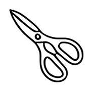 Kitchen Shears
