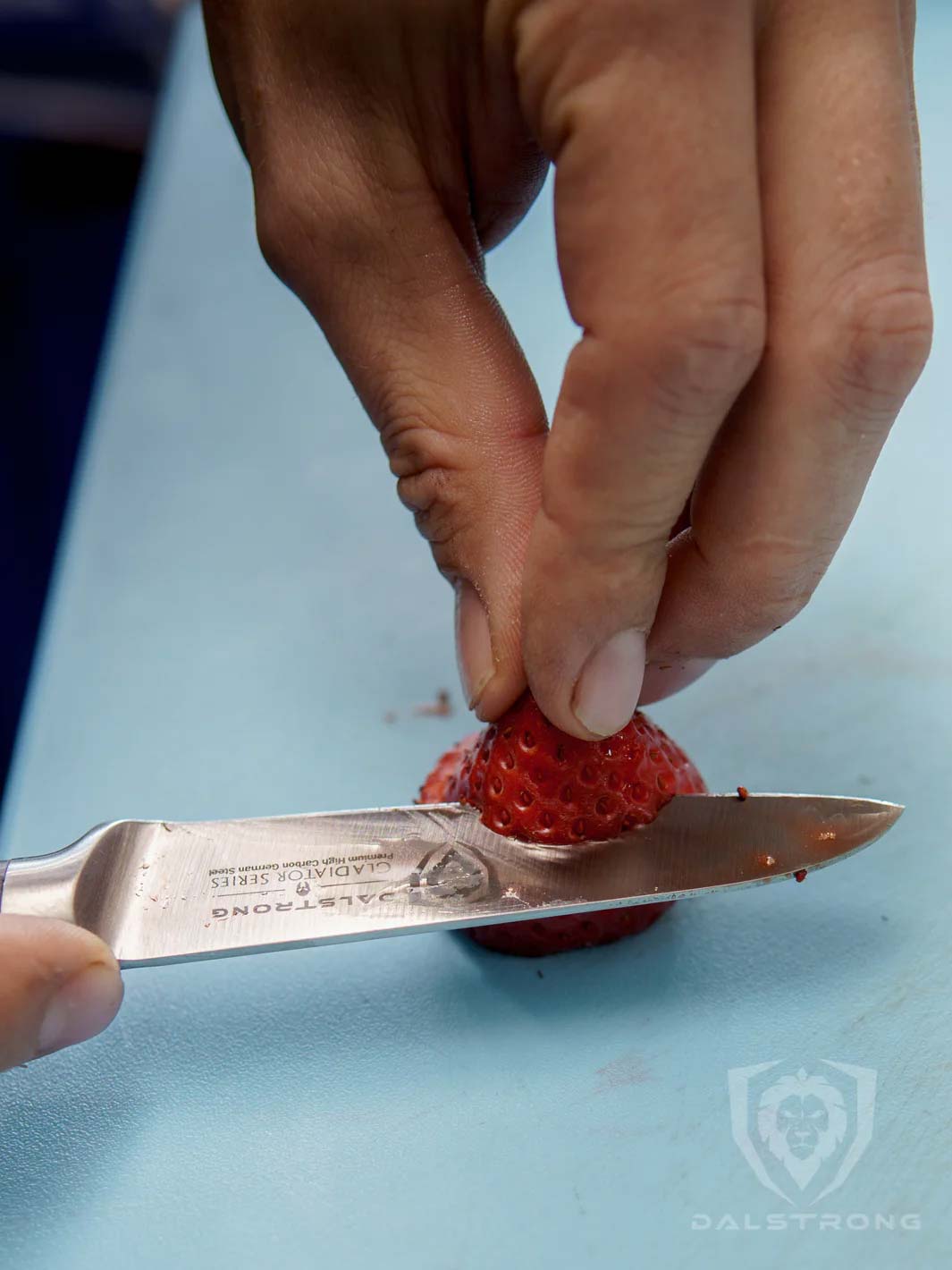 Paring Knife 3.5" | Gladiator Series | NSF Certified | Dalstrong ©