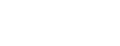 Flash logo