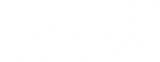 Flash logo