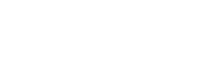 Flash logo
