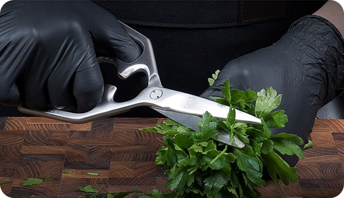 Professional Kitchen Scissors