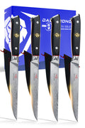 4 Piece Steak Knife Set