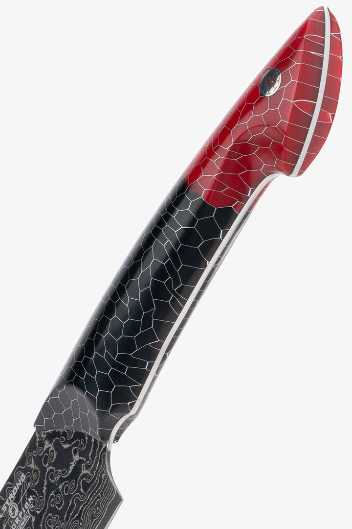 Crixus Knife 8" | The Scorpion Series | Dalstrong ©