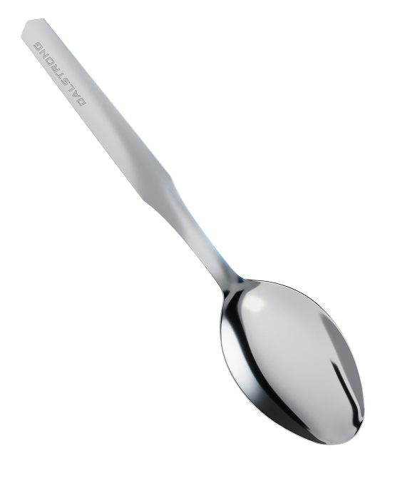 Professional Chef Tasting & Plating Spoon | Dalstrong ©