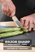 Chef's Knife 8"