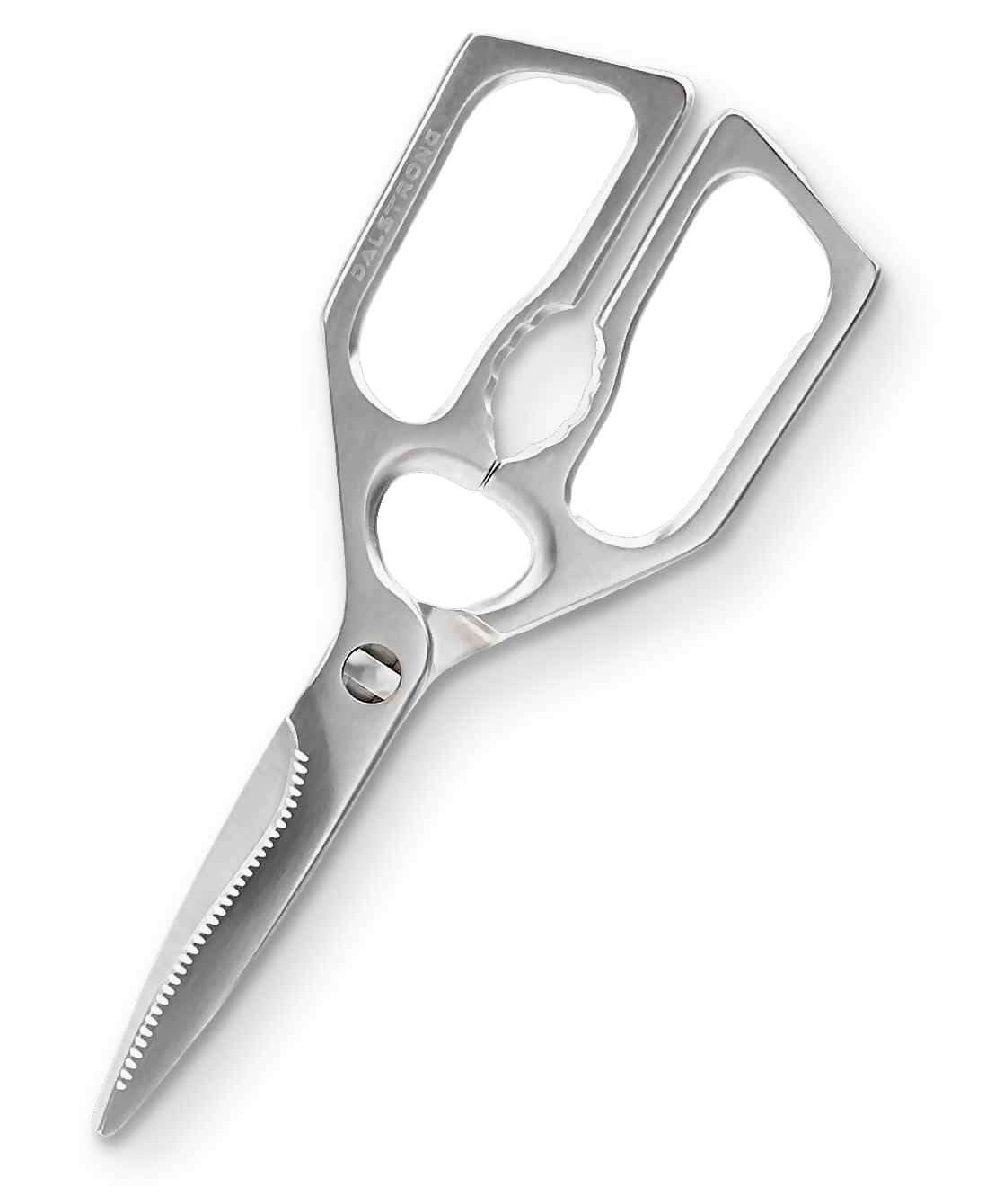 Professional Kitchen Scissors | 420J2 Stainless Steel | Dalstrong ©