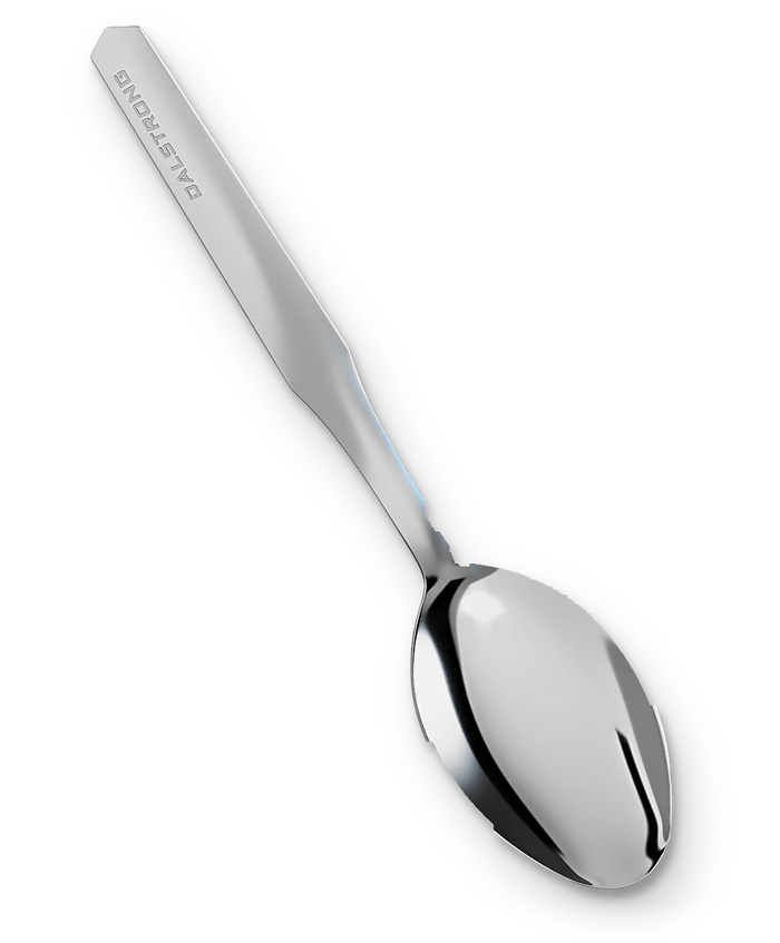 Dalstrong © _ Professional Chef Tasting & Plating Spoon | Dalstrong © _ 1