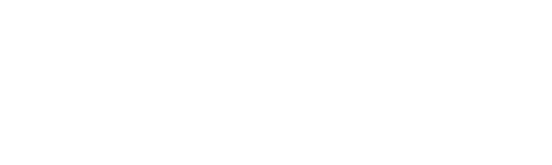 https://dalstrong.com/cdn/shop/files/ds-white-logo-version.png?v=1701976978&width=800