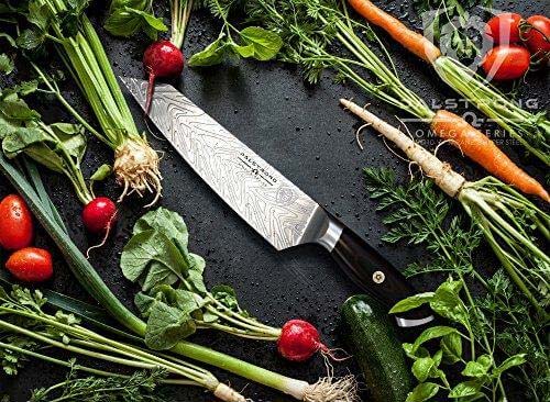 Dalstrong omega series 8.5 inch chef knife collectors set surrounded by vegetables.