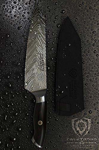 Dalstrong omega series 8.5 inch chef knife collectors set with black sheath on a wet surface.