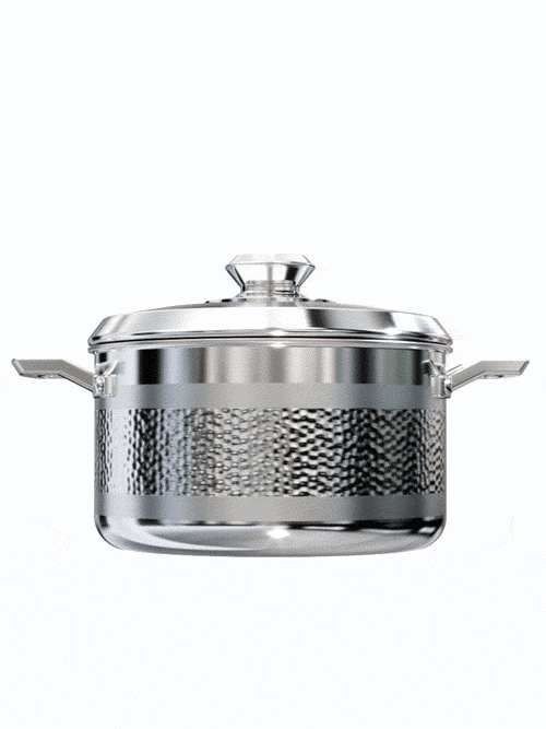 Dalstrong avalon series 5 quart stock pot hammered finish silver in all angles.