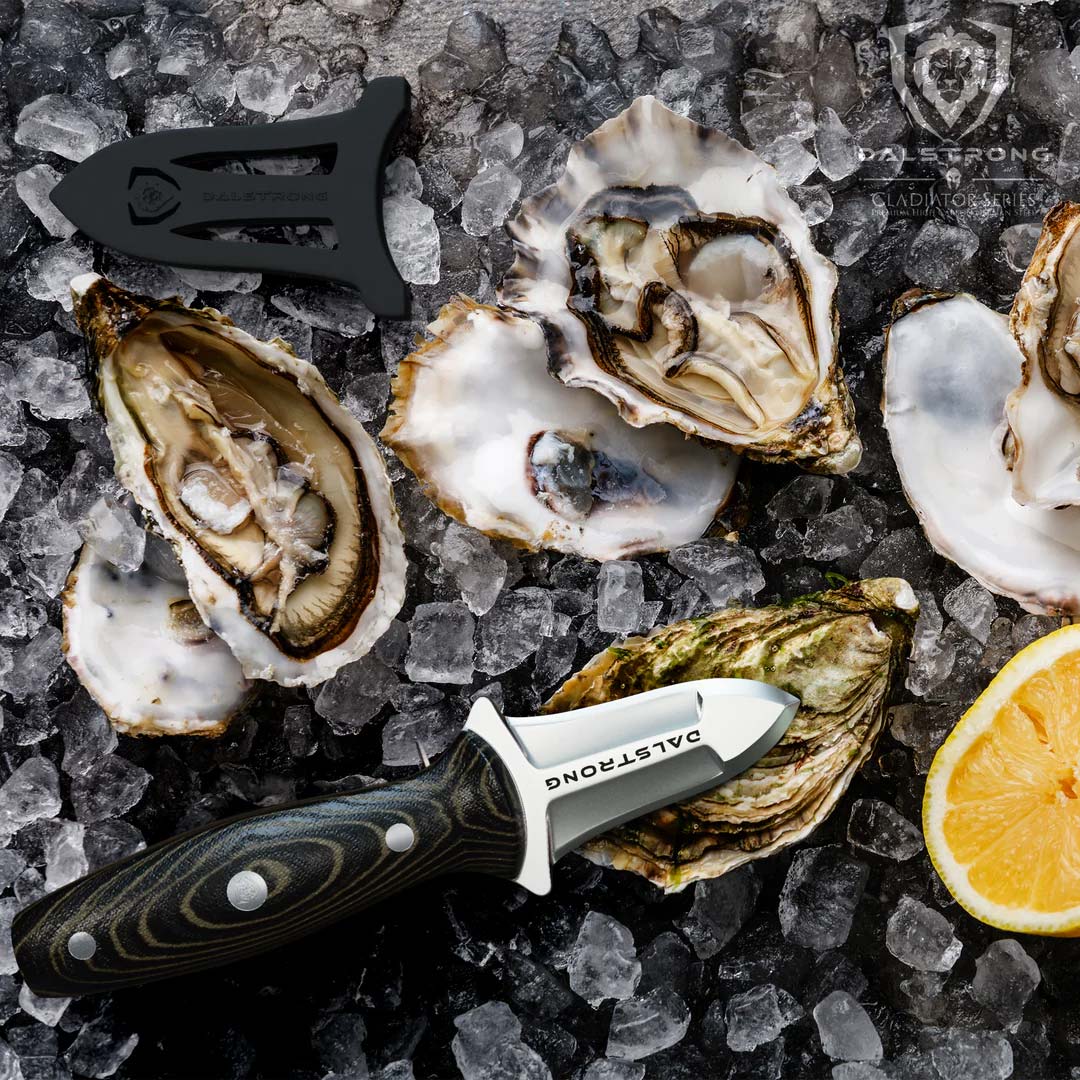 Dalstrong gladiator series 3 inch oyster knife with black handle beisde shucked oysters.