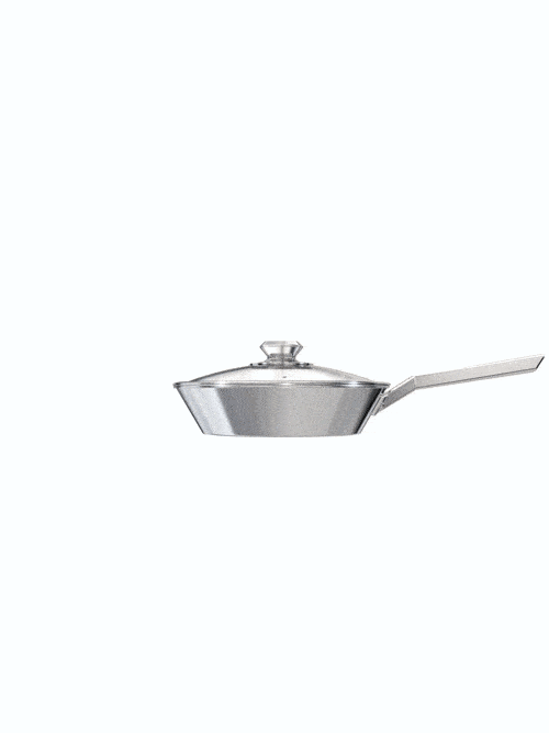 Dalstrong oberon series 10 inch frying pan skillet silver in all angles.