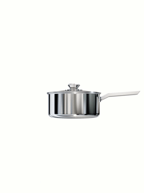 Dalstrong oberon series 4 quart stock pot silver in all angles.