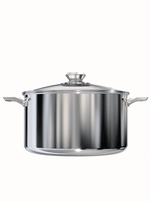 Dalstrong oberon series 8 quart stock pot silver in all angles.