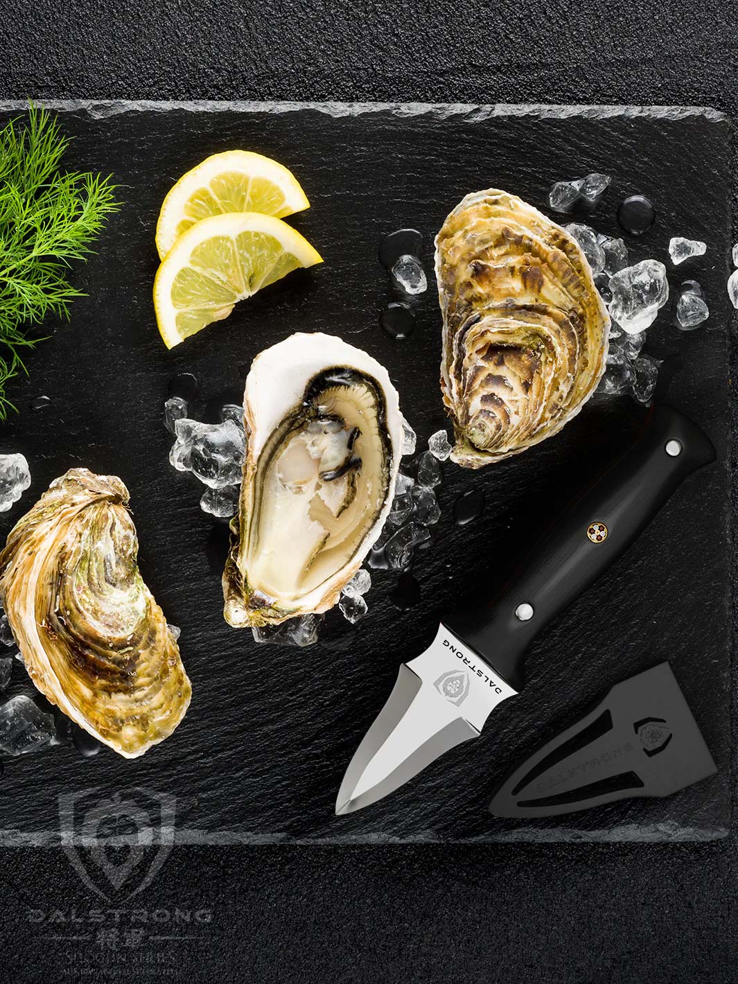 Dalstrong shogun series 3.5 inch oyster knife with black handle and three oysters in the middle.