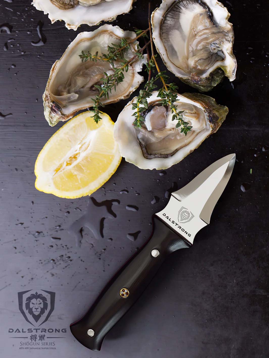 Dalstrong shogun series 3.5 inch oyster knife with black handle and shucked oysters at the top.