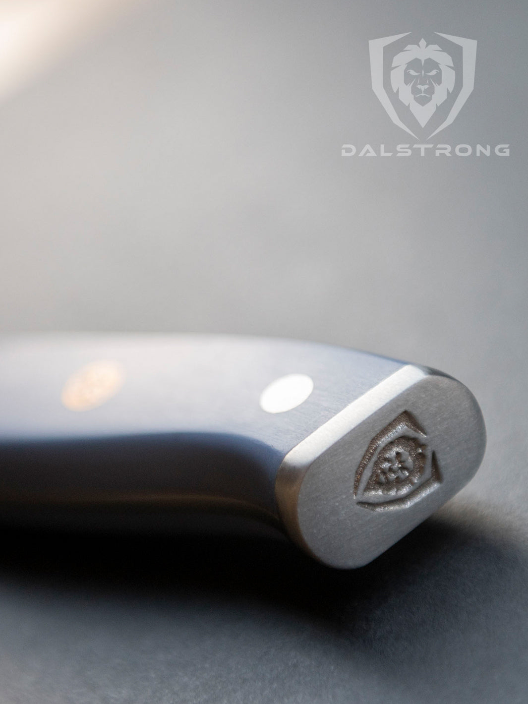 Dalstrong shogun series 8 inch chef knife with light blue matte handle featuring the dalstrong logo engraved at the bottom.
